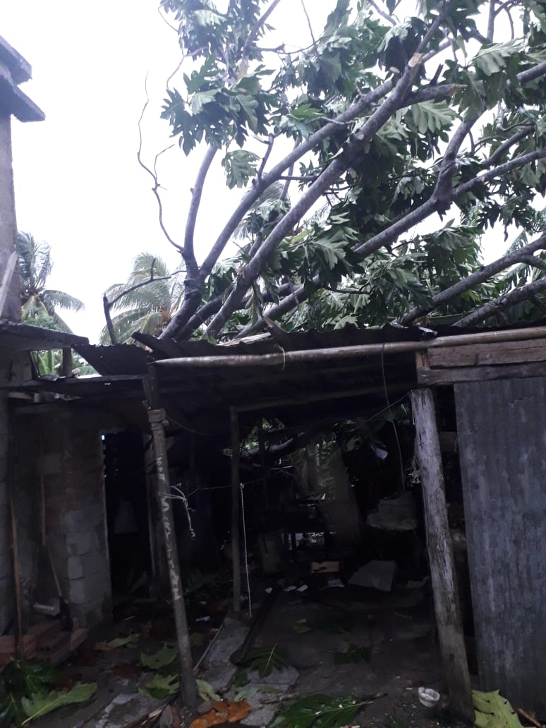 Day 🇨🇺 tweet media