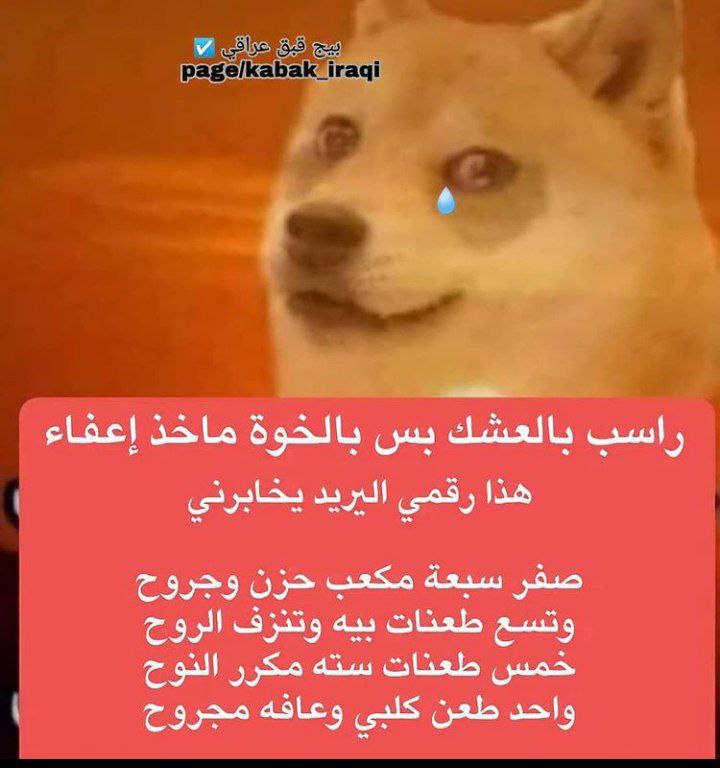 nya_colia's tweet photo. هذا علوش كسر قلبي و مشى 3\> #السماح_بالجوالات_في_المدارس https://t.co/j1y1XFvECA