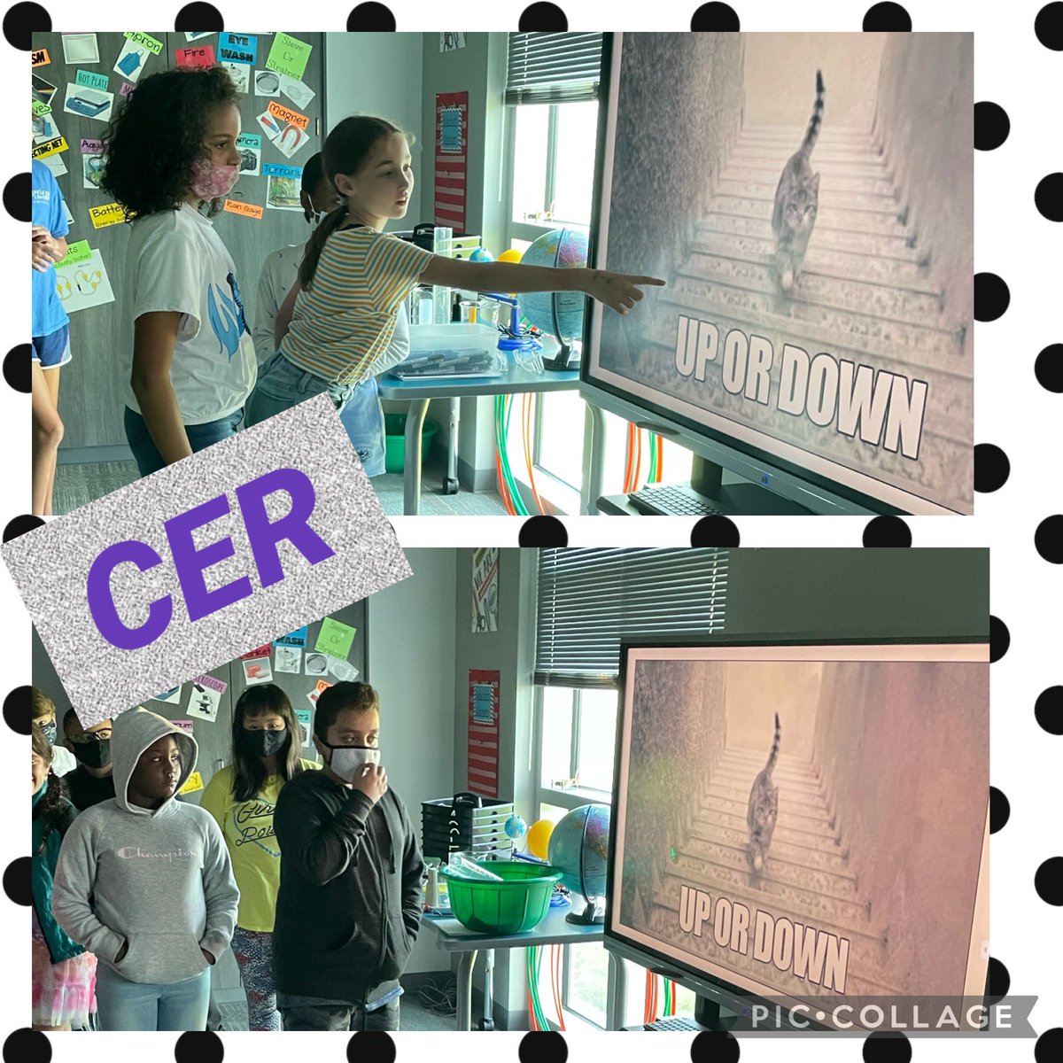 NatBiel1's tweet image. Is the cat going up or is the cat going down? These Fox Cubs🦊 @FoxKISD did amazing making their claim, gathering evidence and explaining their reasons! #CER #LikeAFox @KleinISDscience @kmccaffrey21