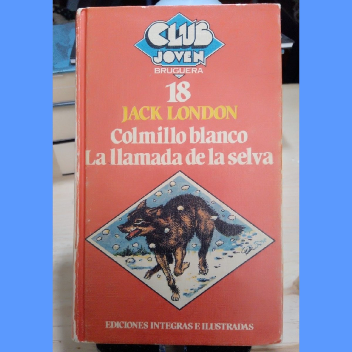 VulgaMomo's tweet image. #Recomendaciones #recomendacionlibros #literaturauniversal #lteraturajuvenil #jacklondon #colmilloblanco #lallamadadelaselva #lomitos #lobos #Vulgata #VulgataBlog