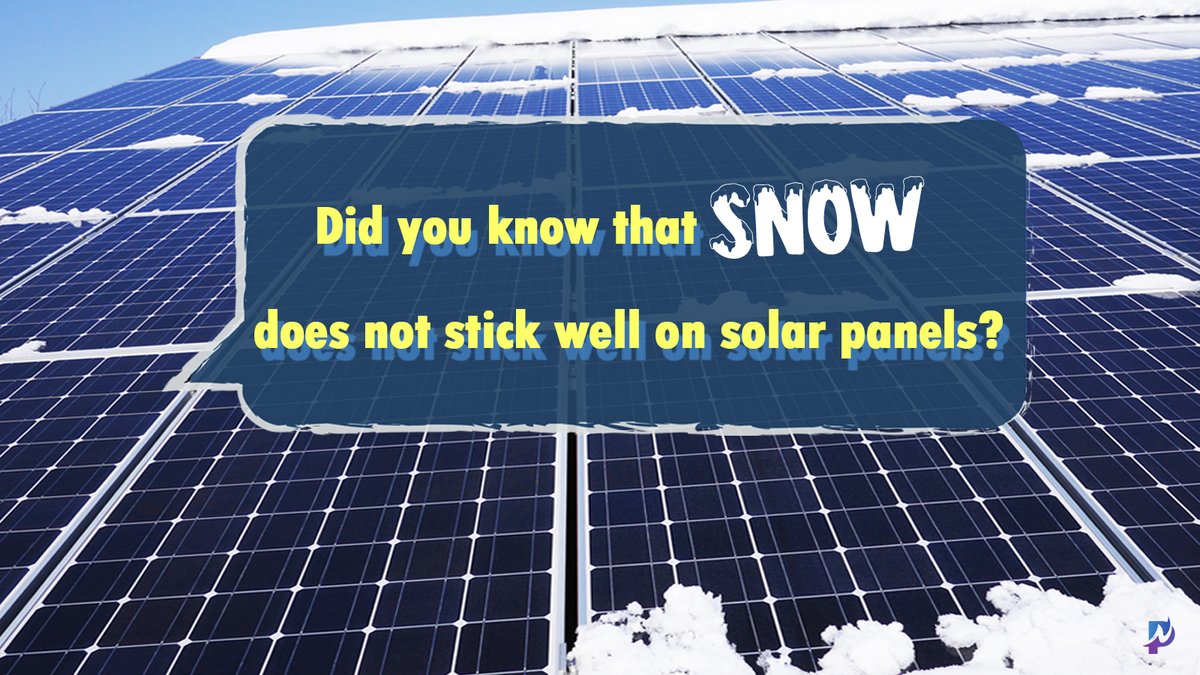 Pro Appointment Setting tweet media