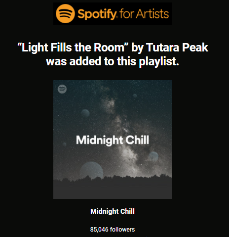 Big love to <a href="/Spotify/">Spotify</a> for adding my collaboration with <a href="/OfficialZES/">Zes</a> to the 'Midnight Chill' playlist
➜ Listen here open.spotify.com/playlist/37i9d…