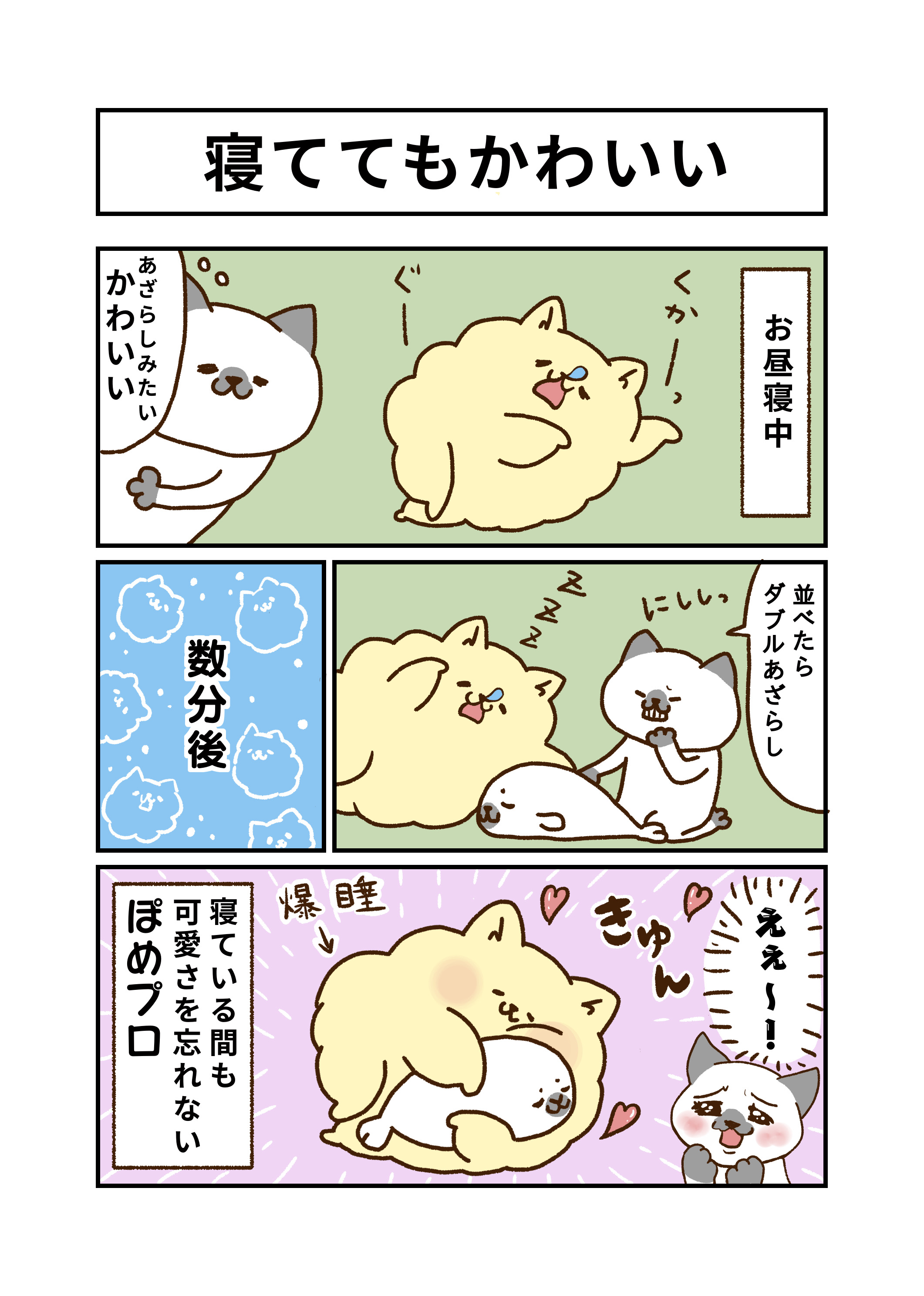 みーやん 私の夫はポメラニアン 寝ててもかわいい 自然と抱きしめる 夫婦 イラスト 私の夫はポメラニアン ほのぼの ポメラニアン マンガ 日常 猫 漫画 アート コミックエッセイ 犬 寝る 絵描きさんと繫がりたい イラスト好き