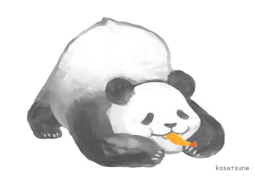 no humans panda white background eating simple background lying food  illustration images