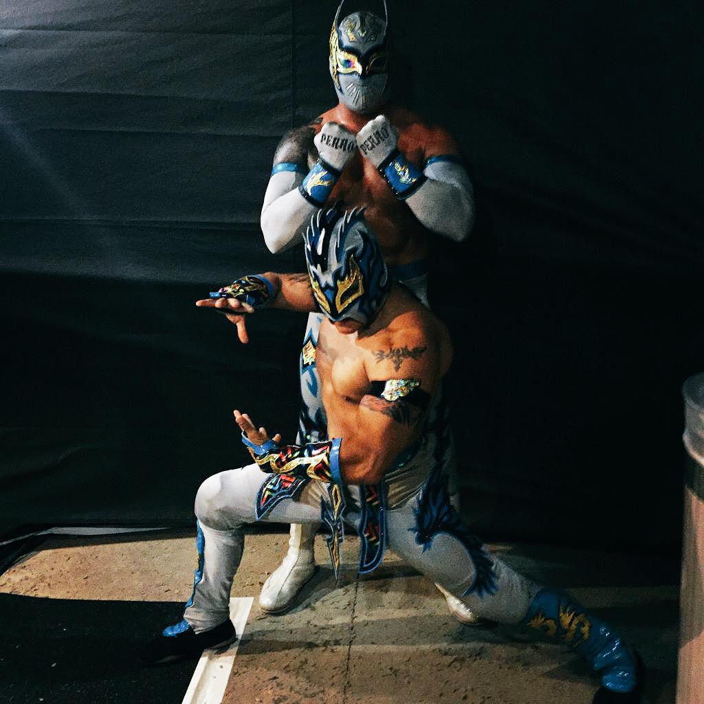 AlanGarciaWWE's tweet photo. ¿Quién ganaría? #LuchaDragons (@CintaDeOro  y @gloat) vs #LuchaBrothers (@ReyFenixMx  y @PENTAELZEROM) 

Independientemente de quien gane, ambos equipos darían una gran batalla en el aire!. https://t.co/EIH058xK1u