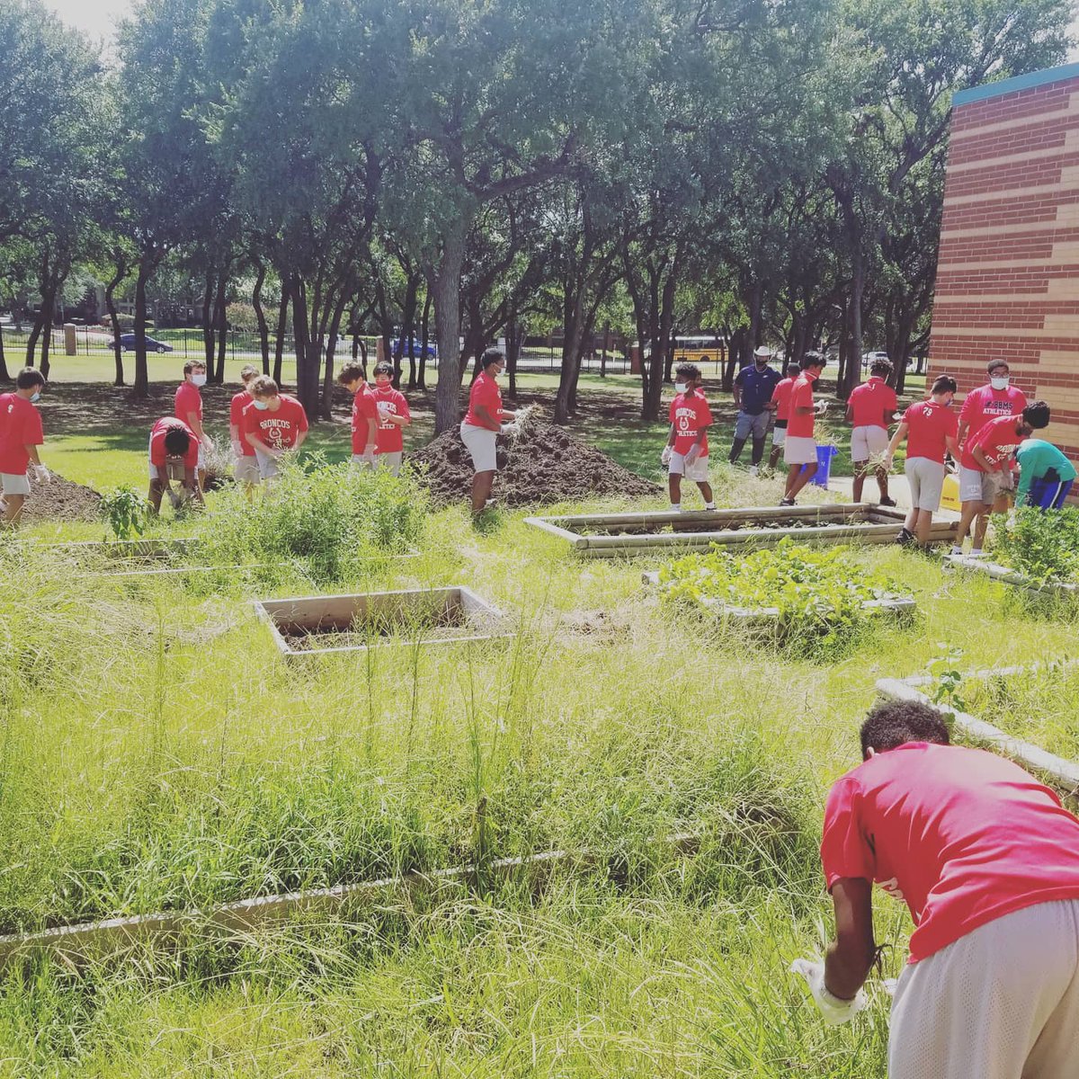 clair_coach's tweet photo. Our 7th grade athletes took some time to tackle the weeds in the BBMS garden. Can't wait to see them tackle the Polk Panthers on September 8th! #BBMSathletics #CFBathletics #BBMSProud #BBMSDreamTeam #RanchviewPTR #BushBroncos https://t.co/uDs6bcZvVh