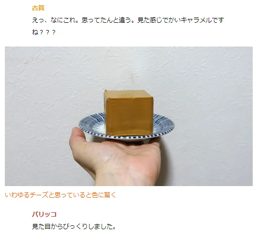 試食した一同驚愕！？ノルウェーのチーズ「スキクイーン」が美味すぎた！