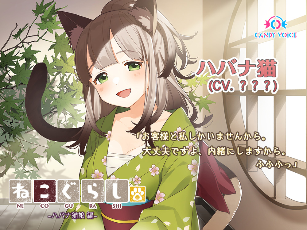 カムザz ハバナ猫のイラストと性格からして予想できる声優は早見沙織さんです ねこぐらし 早見沙織