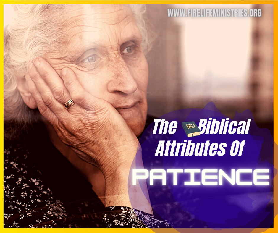 Lisa Lewolt tweet media