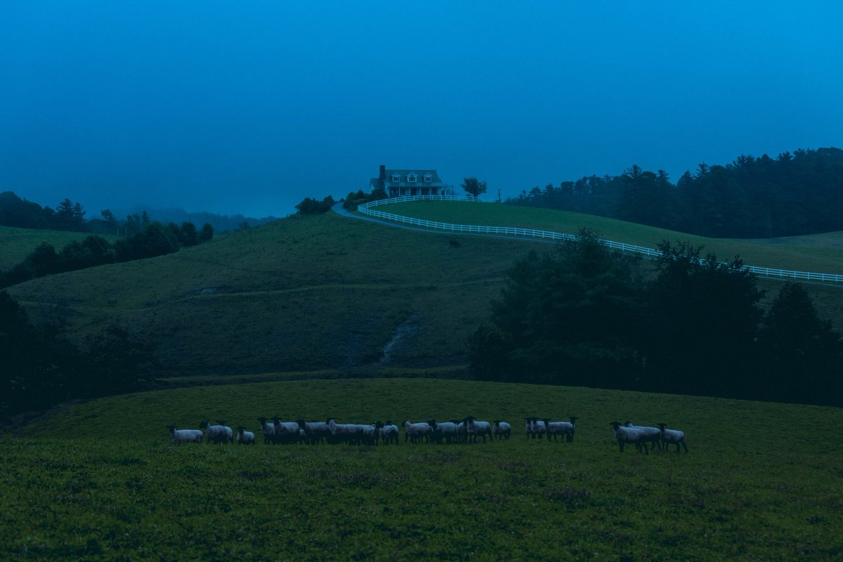 briscoepark's tweet photo. Photos I took of the countryside https://t.co/6XuzOUGgB7