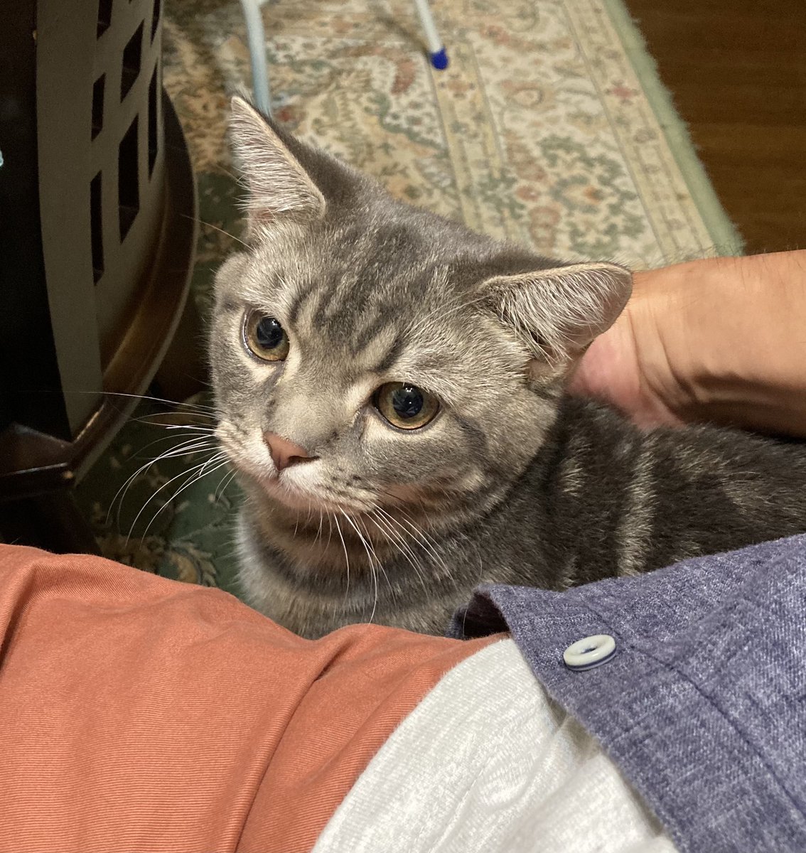 野坂尚也 Nowyack Twitter