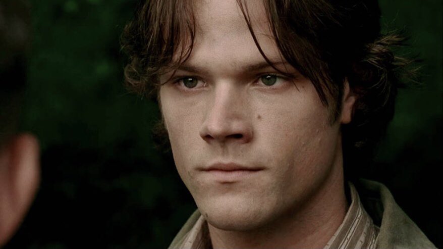 sam’s nose (@dailysamnose) on Twitter photo 