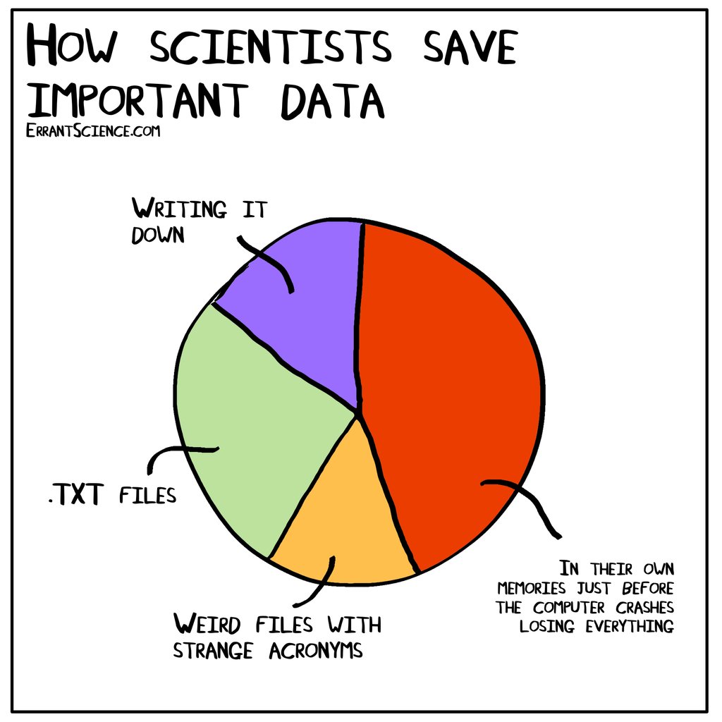 *Seen*! 😂This wonderful graphic on saving important data resonates with us on every possible level! 😃😁🤗How about you?   By <a href="/ErrantScience/">ErrantScience</a> = <a href="/MCeeP/">Matthew</a> &amp; @MichelleAReeve