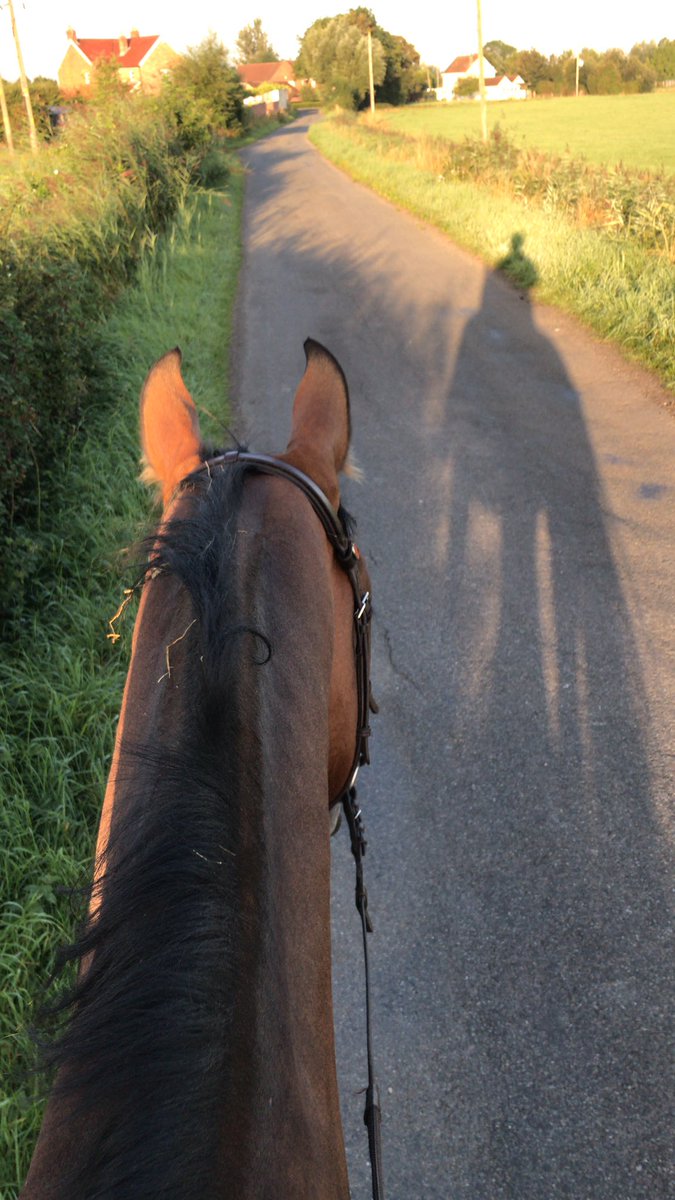 HannahReason's tweet photo. Beautiful morning for a lovely hack to start the bank holiday weekend! 🐴 https://t.co/Fs3B3pvGmW