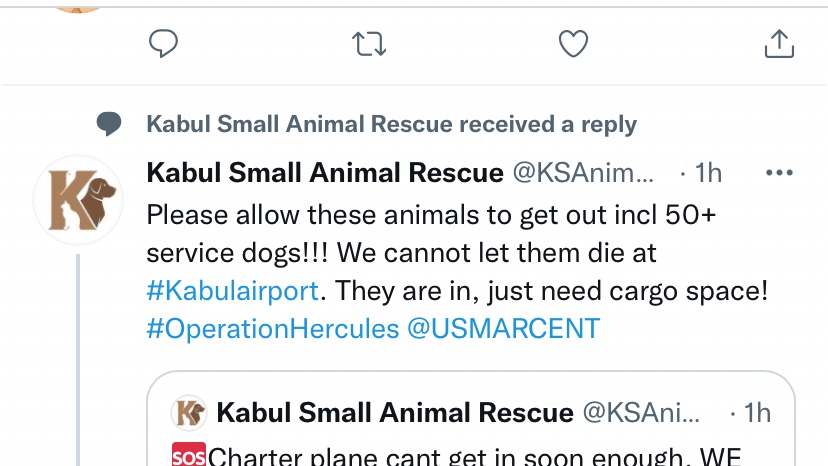 <a href="/domdyer70/">dominic dyer</a> @KSAnimalRescue have 50 service dogs their plane hasn’t made it - anything anyone can do ?