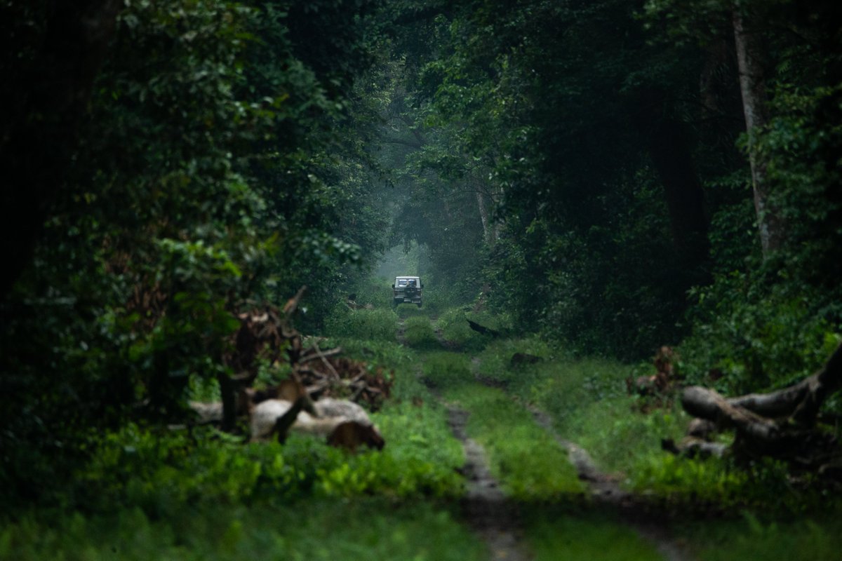 ParveenKaswan's tweet photo. Now who wants to travel the road less travelled !! https://t.co/faHEUvLHpG