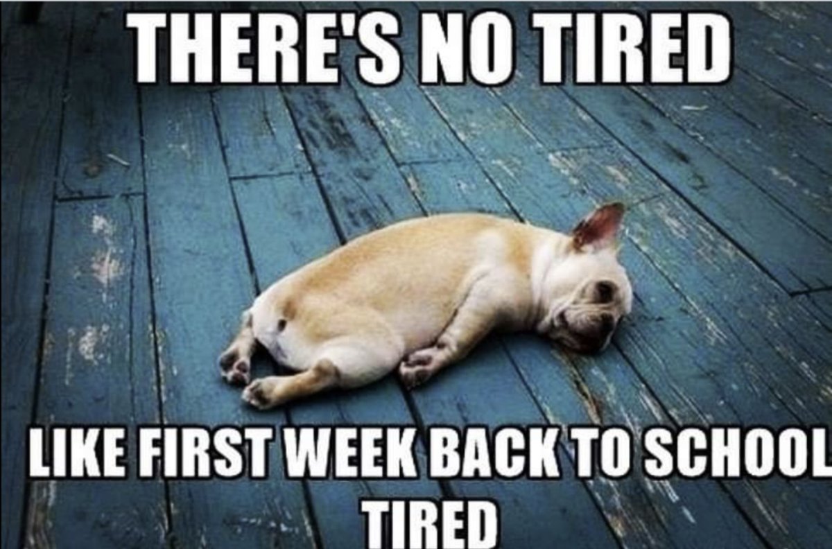 MrsDChronister's tweet photo. We did it! Whew! Now, rest up! See you Monday, Seniors! https://t.co/KrHGynttb1