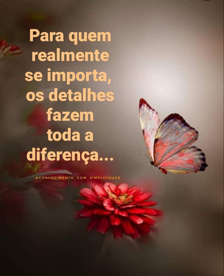 socorromarques5's tweet photo. #SabadoReiDoSDV 
#SabadoBestFriendsSDV https://t.co/lGrnVPbB79
