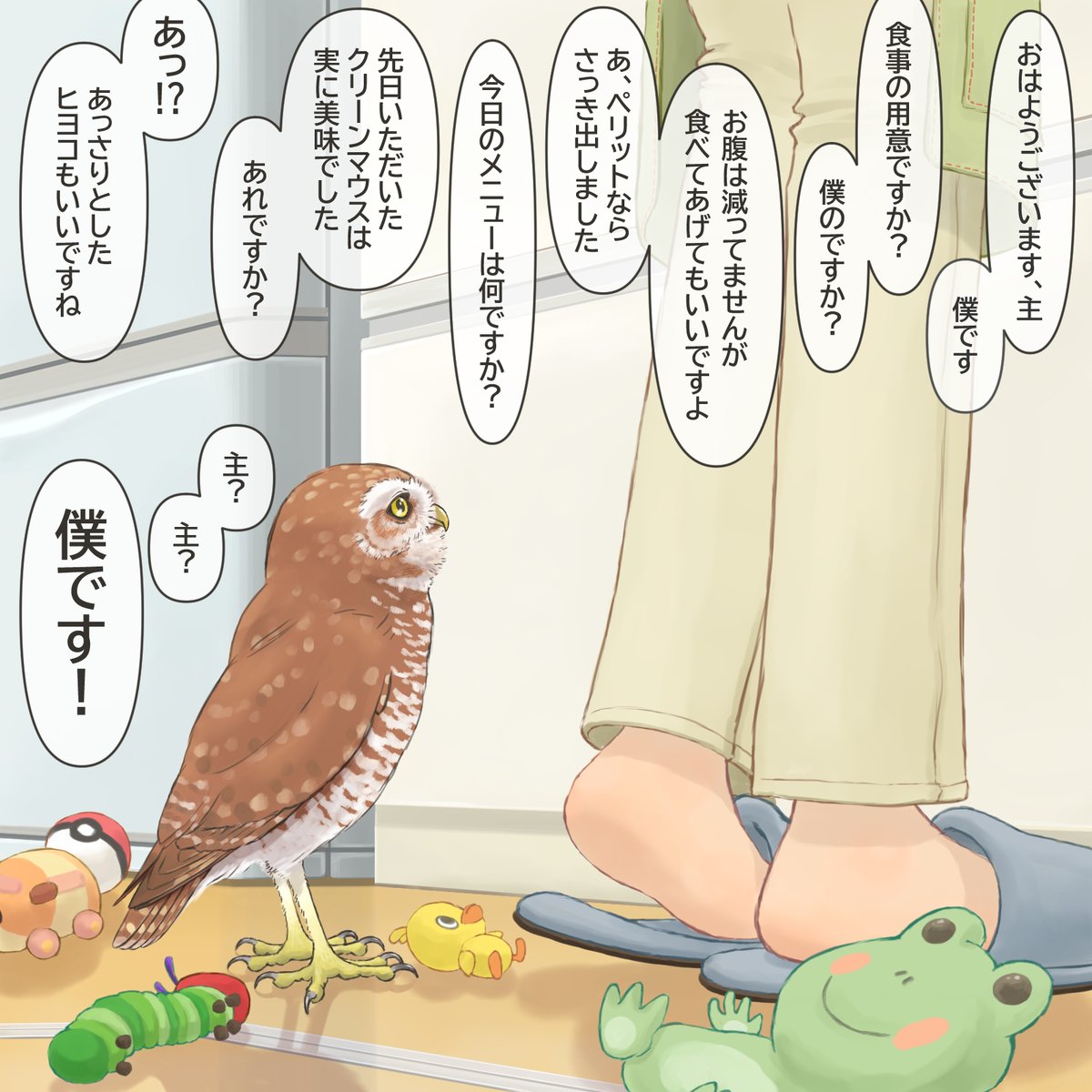 圧が尊い
#アナホリフクロウ #BurrowingOwl #フクロウ