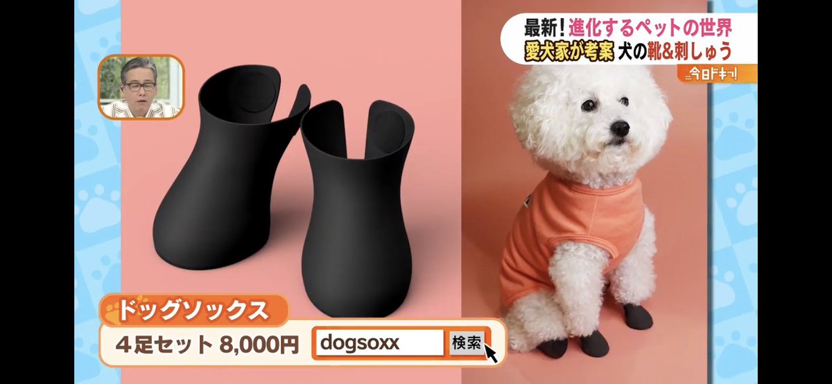 miznori's tweet image. 犬用シューズDogSoxxが北海道のTV番組で紹介されました！

#犬の靴　#DogSoxx

youtu.be/JxfwvQQaBQY
