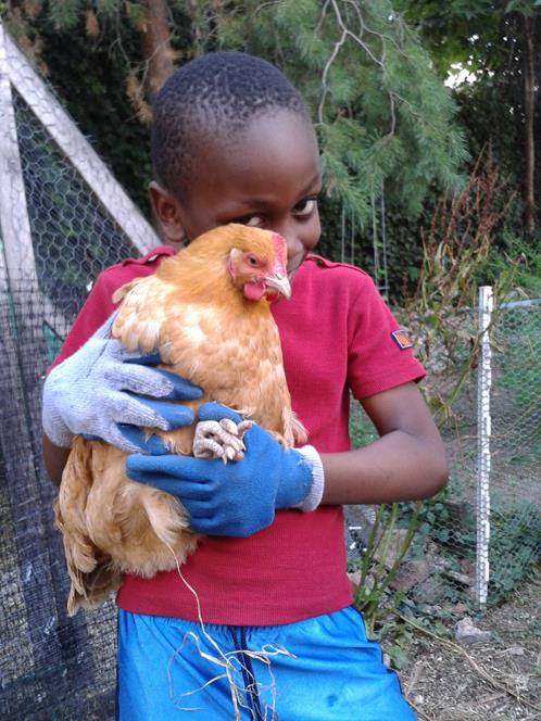 SlowFoodNYC's tweet image. Just 3 days left to support our fundraiser to ensure we have a successful 2021 growing season at Urban Harvest Farm at Ujima.

Slow Food NYC qualified for @ioby's “NYC Covid-19 Just Recovery Match Fund.” Every dollar donated by 8/31 will be matched! bit.ly/3fkg7WE