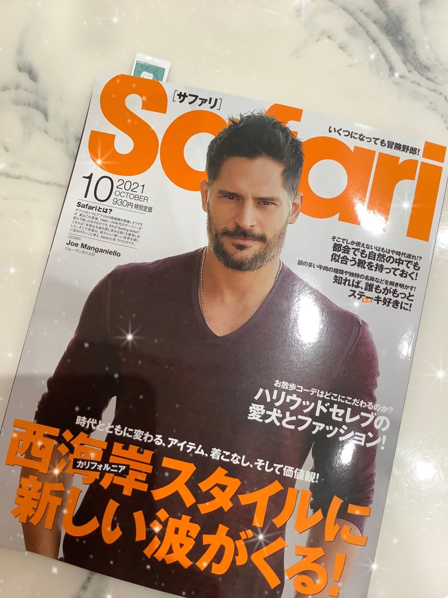 Safari Lang Ja Twitter Search