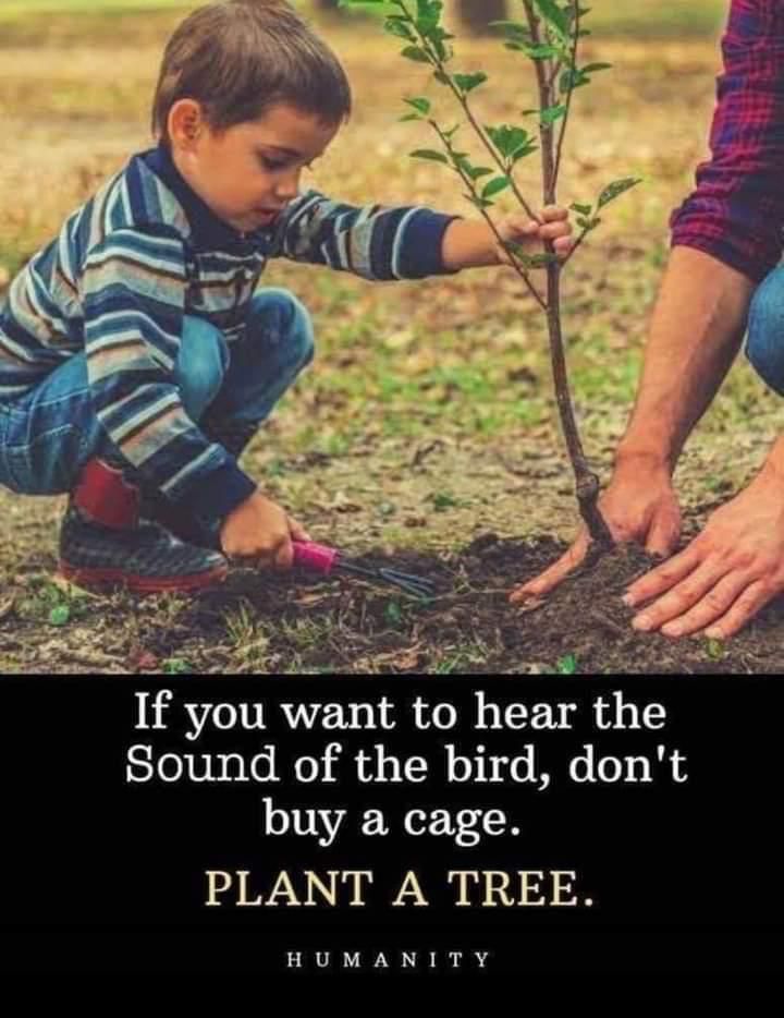 tigherclub's tweet photo. #WeServe #humanity https://t.co/uRHqT6vpwy