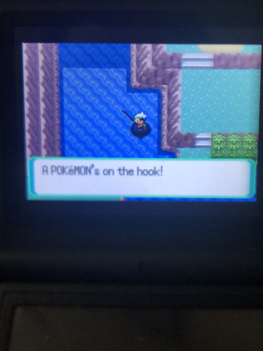Come on Shiny Feebas! 

#emerald
#pokemon
#shiny
#shinyhunting
#feebas
#route119
#help