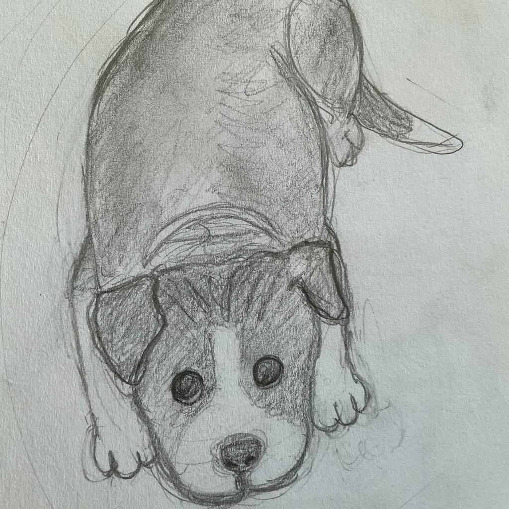 My kids keep telling me that my sketches are so much better than the digital art stuff I try to sell! Gotta love their honesty 😂…. So here is a sketch I did a while ago from a cute puppy photo a friend posted on FB..
.
.
.
.
.
.
#puppysketch #cutepup… instagr.am/p/CTGfV0TBmkG/