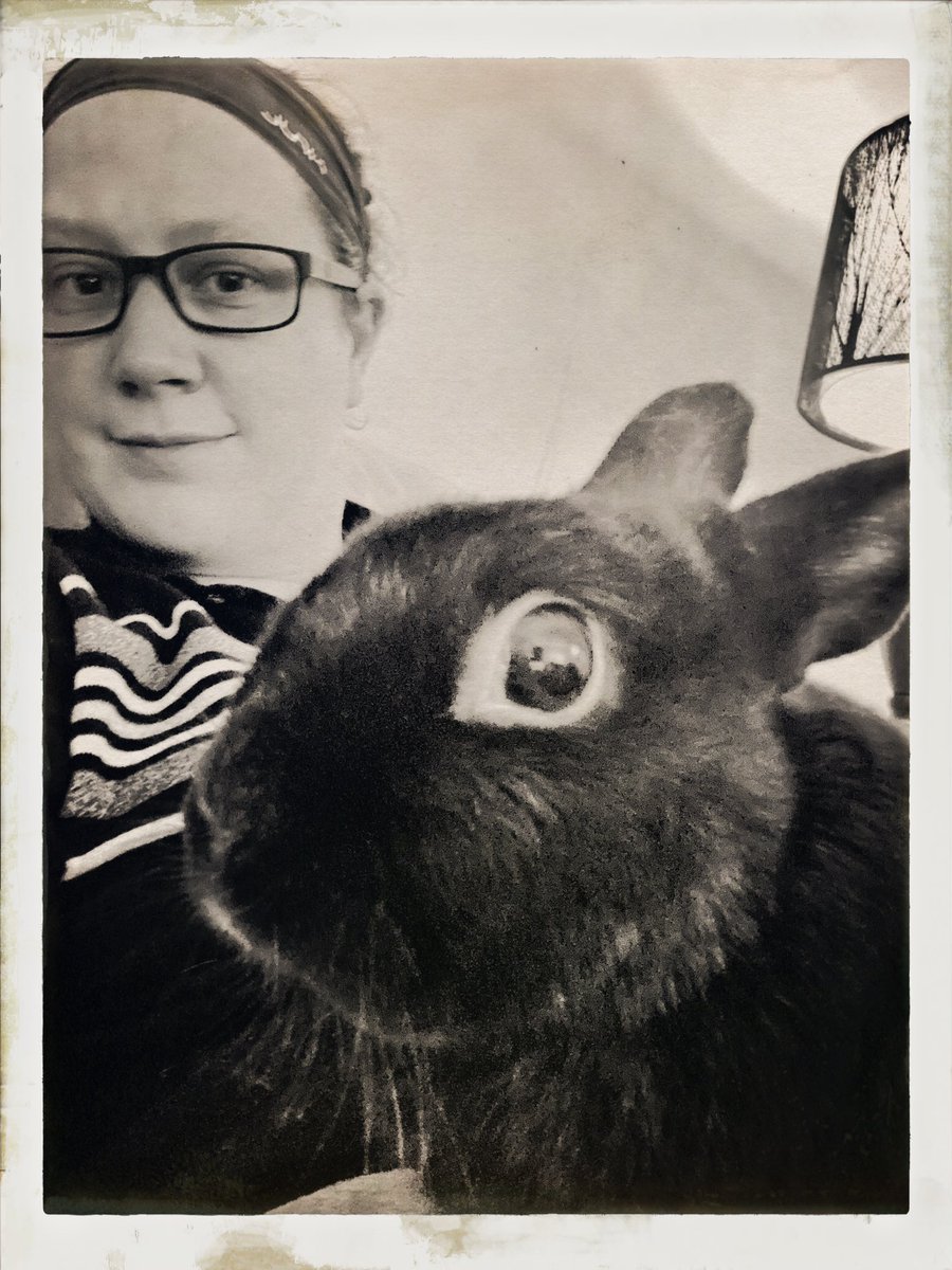 Bunny lap time with Nova. ❤️ #discosupernova