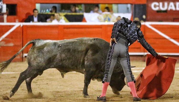 Palmas , el resultado de la actuación del @matadorjps con “Aniversario” de @6teofilogomez6 , primero de su lote.

📷 @MonumentalMty