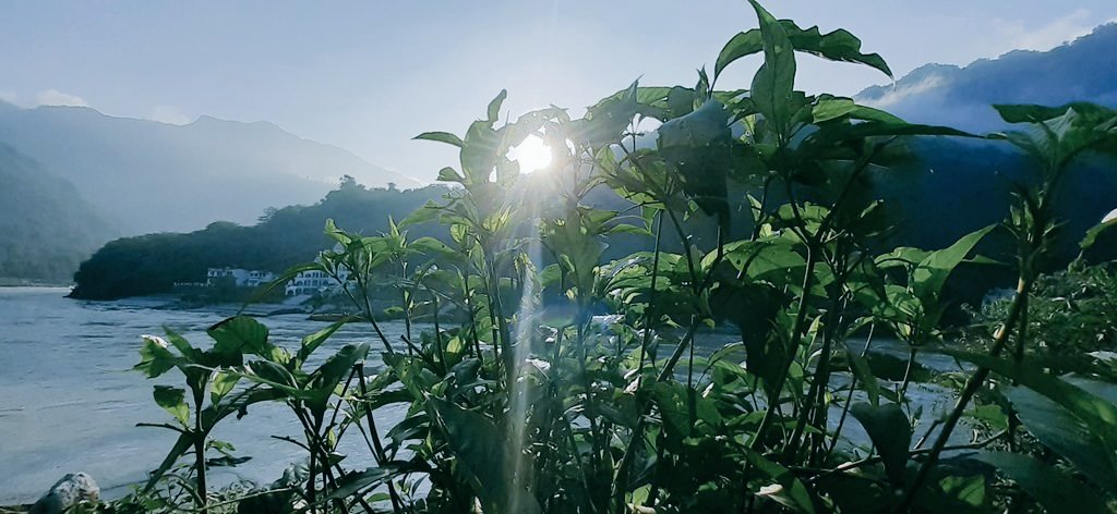 Spiritual_B0Y's tweet photo. ***Jobs fill ur pocket 💸
Travels fill ur soul🧘‍♂️
Life is not to be lived in one place. 🏡🌎..!***

#thoughtoftheday 
#HarHarMahadevॐ #nature💝💞 #reshikesh #ganga #sunrise #adventure #utrakhand
📸-Gallery https://t.co/dtN7SSgxFc