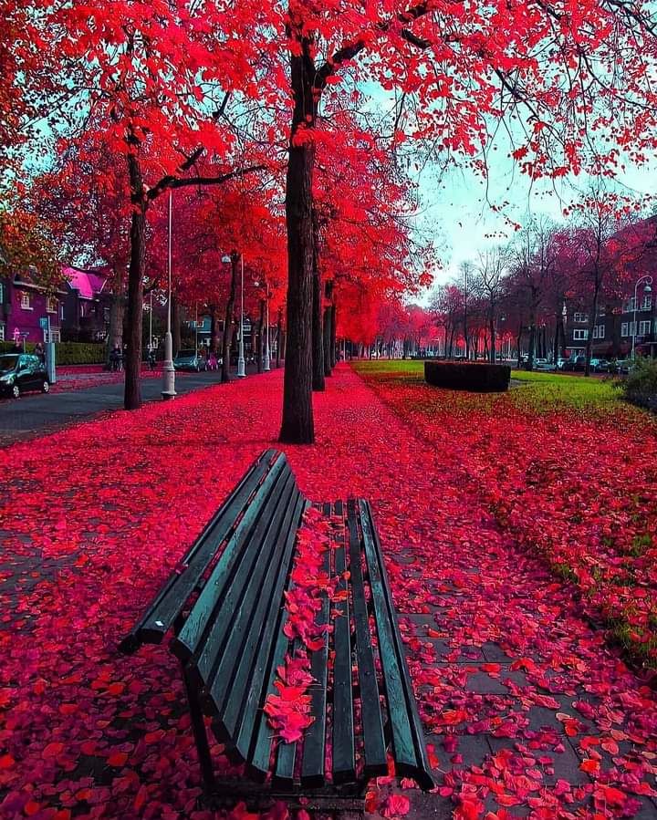 Amsterdam, Netherlands 🇳🇱