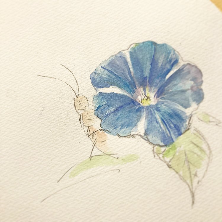 no humans flower blue flower simple background traditional media white background leaf  illustration images