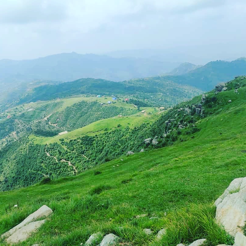 wajaidchowdhary's tweet photo. #Patli Neglected beauty of Pir Panjal
@manojsinha_ @JandKTourism @RajeshShavan @dmrajouri @ans_awam @tourismgoi https://t.co/sGY5Dhtfjx
