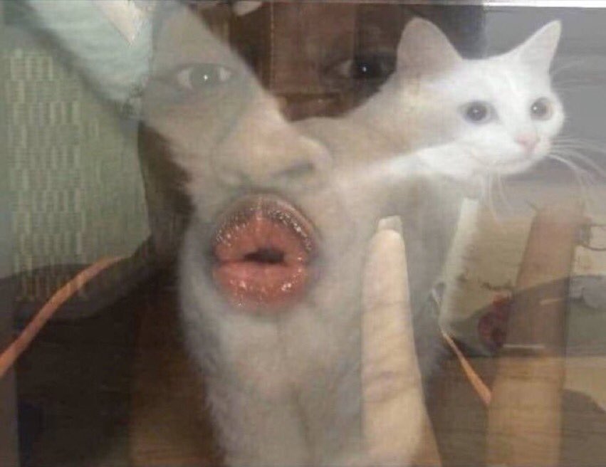 nathan brown tweet media