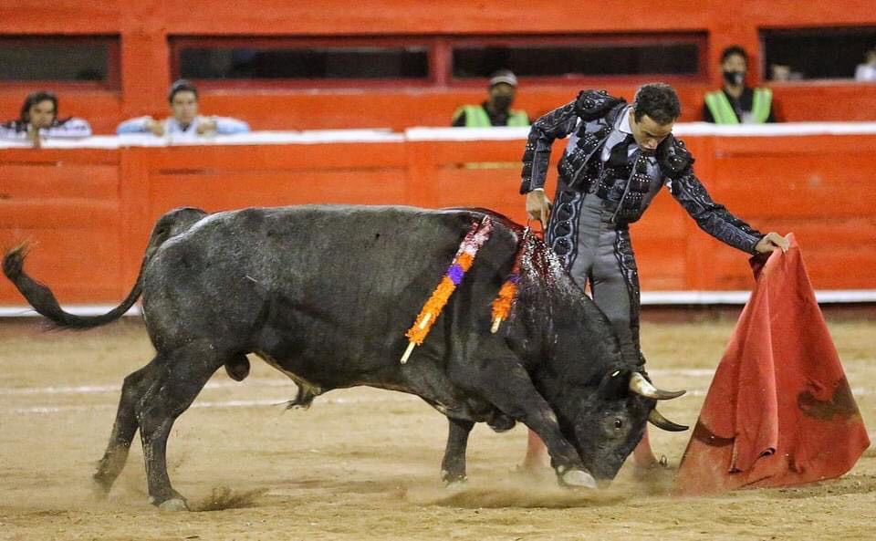 🇲🇽 Monterrey.
El @matadorjps ha cortado una oreja del toro “Mis Ojos”, de De la Mora, aplaudido en el arrastre.

📷 @MonumentalMty