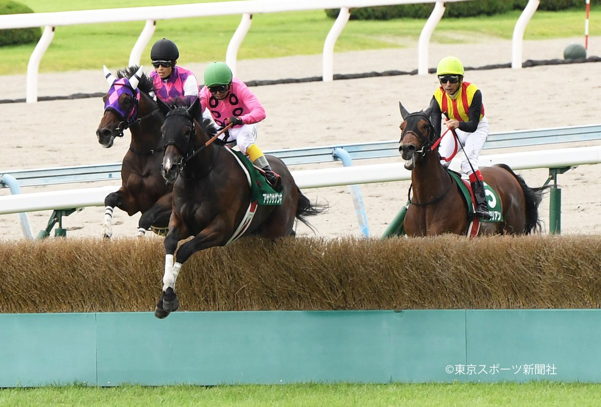 小倉サマージャンプ Twitter Search