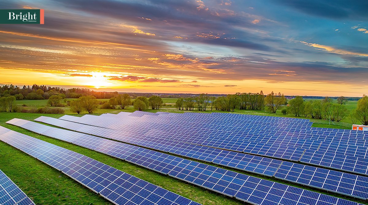 солнечные панели чернобыль. солнечные создания. солнечные создания. солнечные панели jinko. альтернативные источники энергии гелиоэнергетика.