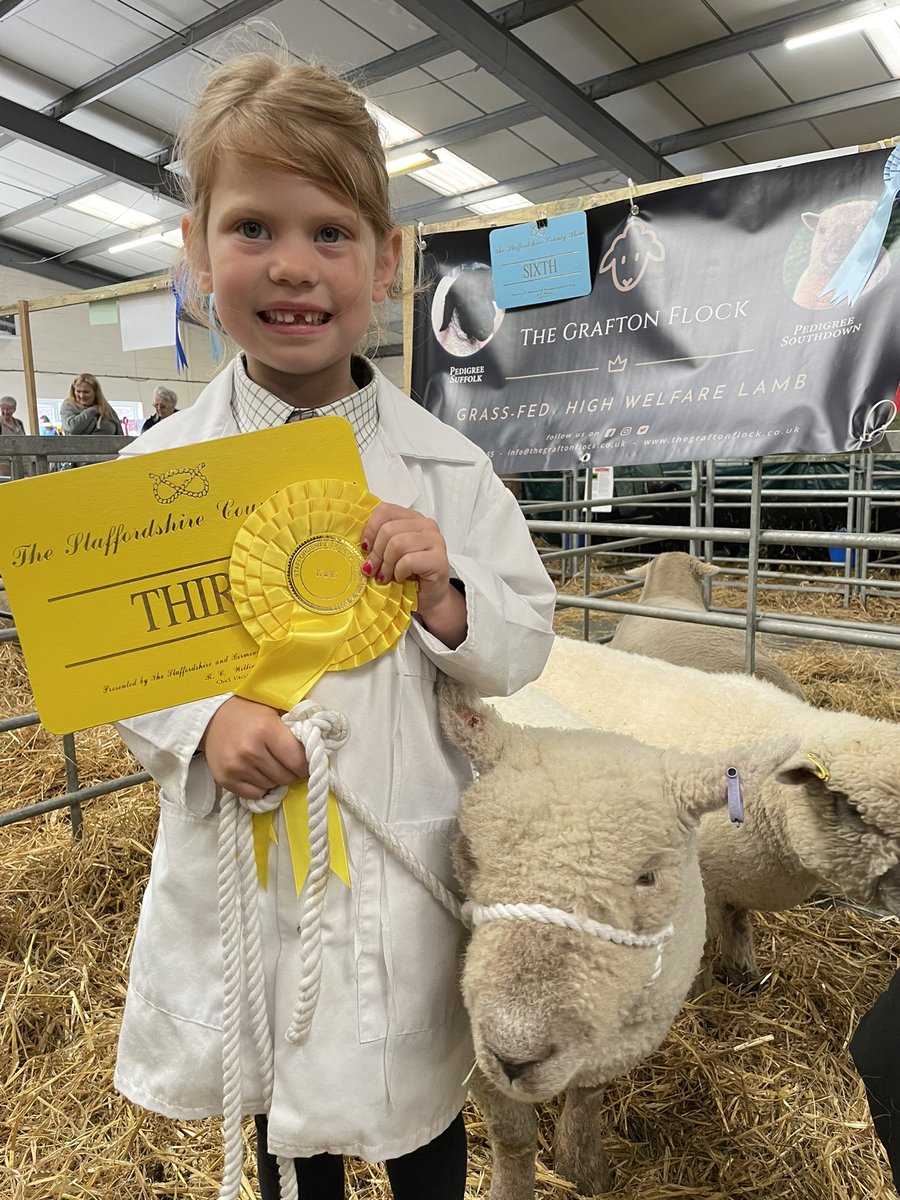 klg72's tweet photo. 6yr old and bossing it ๐ช๐ป๐#southdownsheepsociety #younghandler https://t.co/rWRc1jV9ln