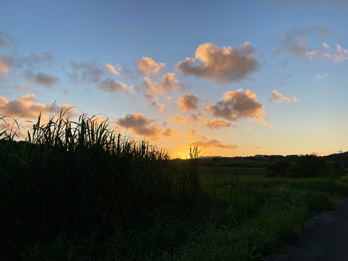 今日は星も綺麗