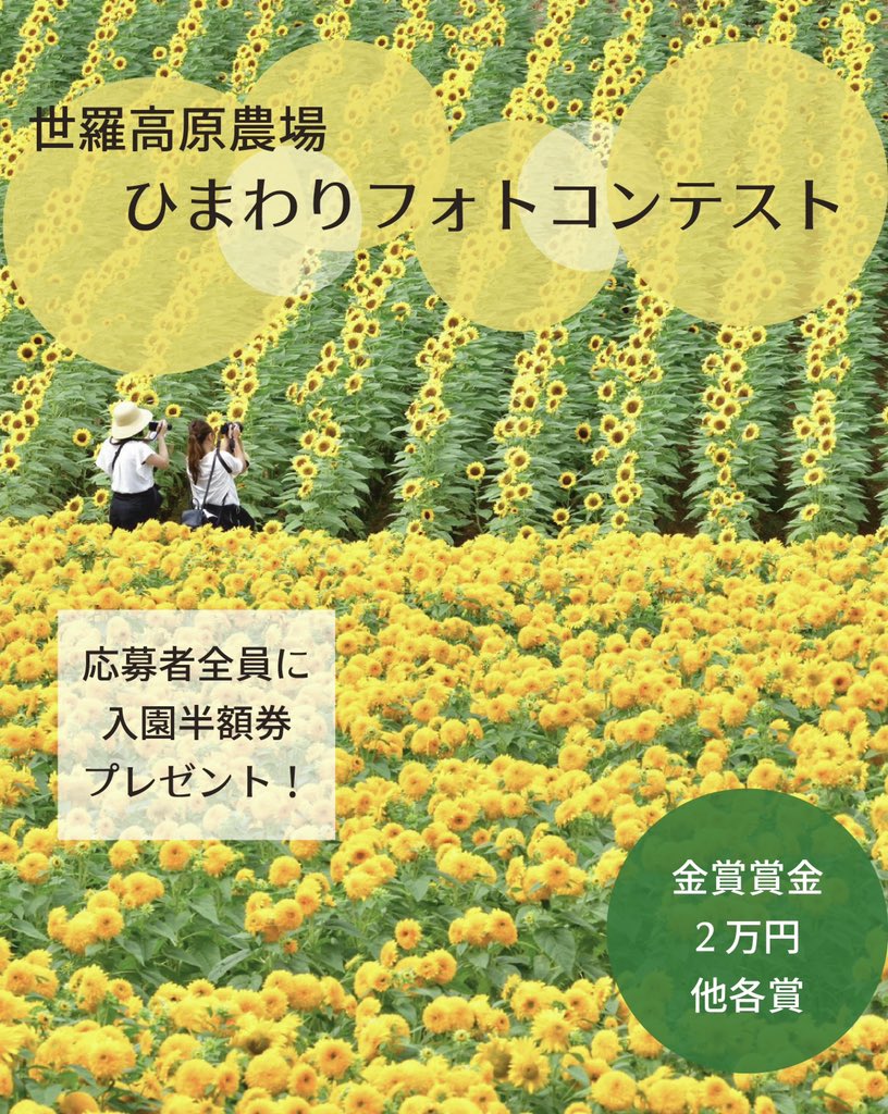 世羅高原農場 公式 Serakogen Twitter 世羅高原農場 公式 Serakogen Twitter