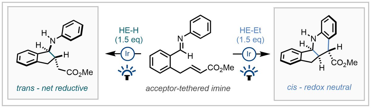 Switchable, diastereodivergent photocatalytic carbocyclisation of α-amino radicals out now in <a href="/angew_chem/">Angewandte Chemie</a> in collaboration with <a href="/AstraZeneca/">AstraZeneca</a>! Many congratulations to <a href="/andrewmaitland0/">Andrew Maitland</a>, @JamieLeitch165, <a href="/KenYamazaki5/">Ken Yamazaki</a> (#compchem with <a href="/TrevorAHamlin/">Trevor A. Hamlin</a>)!

onlinelibrary.wiley.com/doi/epdf/10.10…