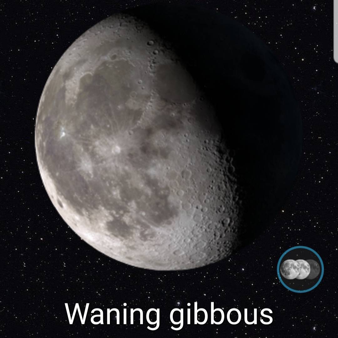 foreststoreuk's tweet photo. Today she's waning gibbous in Taurus, a time to look at where we can find comfort and rest around us.
🌖♉🐂🤗🛌

#astrology #moonology #moon #moonoftheday #waninggibbous #taurus #restandrecharge #comfort #moonmagick #lunarwitch https://t.co/bzkenEDRi4