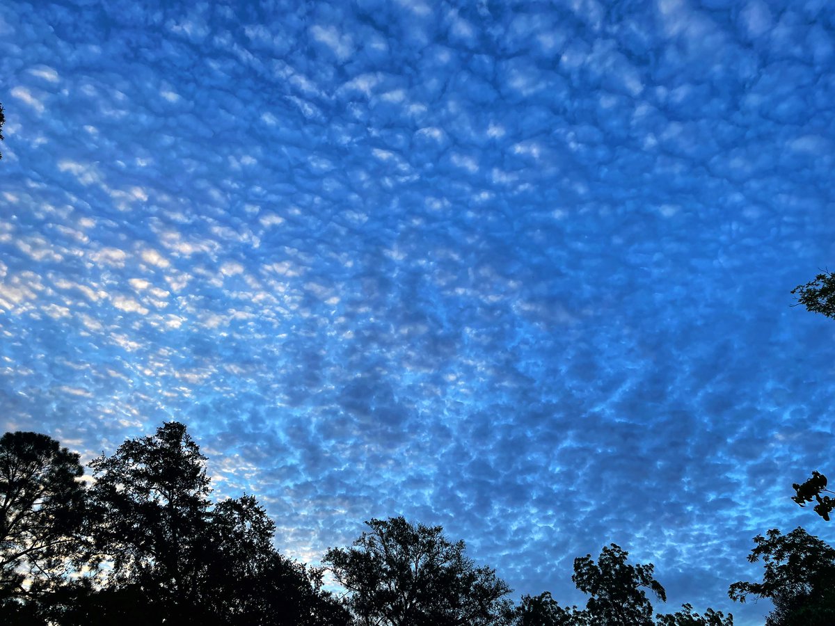 Good Saturday morning! The clouds are cool this morning. Have a wonderful day!