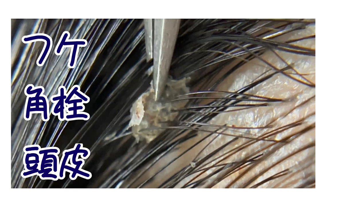 上質な睡眠部活動 睡眠学園 鼻いちもんめ Hana1monme1kaku Twitter