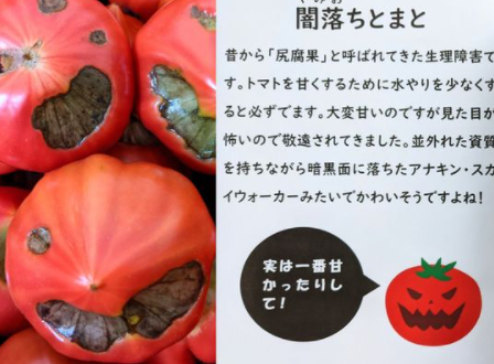 dakuraichi's tweet photo. 所さんの授業

ネーミングを変えただけで人気がでたトマトの例はすごく参考になる(^^)/

闇落ちとまと

説明文もユーモアがあって上手いし、味も美味いらしい。

食べてみたいです

＃コピーライティング
＃闇落ちとまと https://t.co/cC6RC3xJsJ