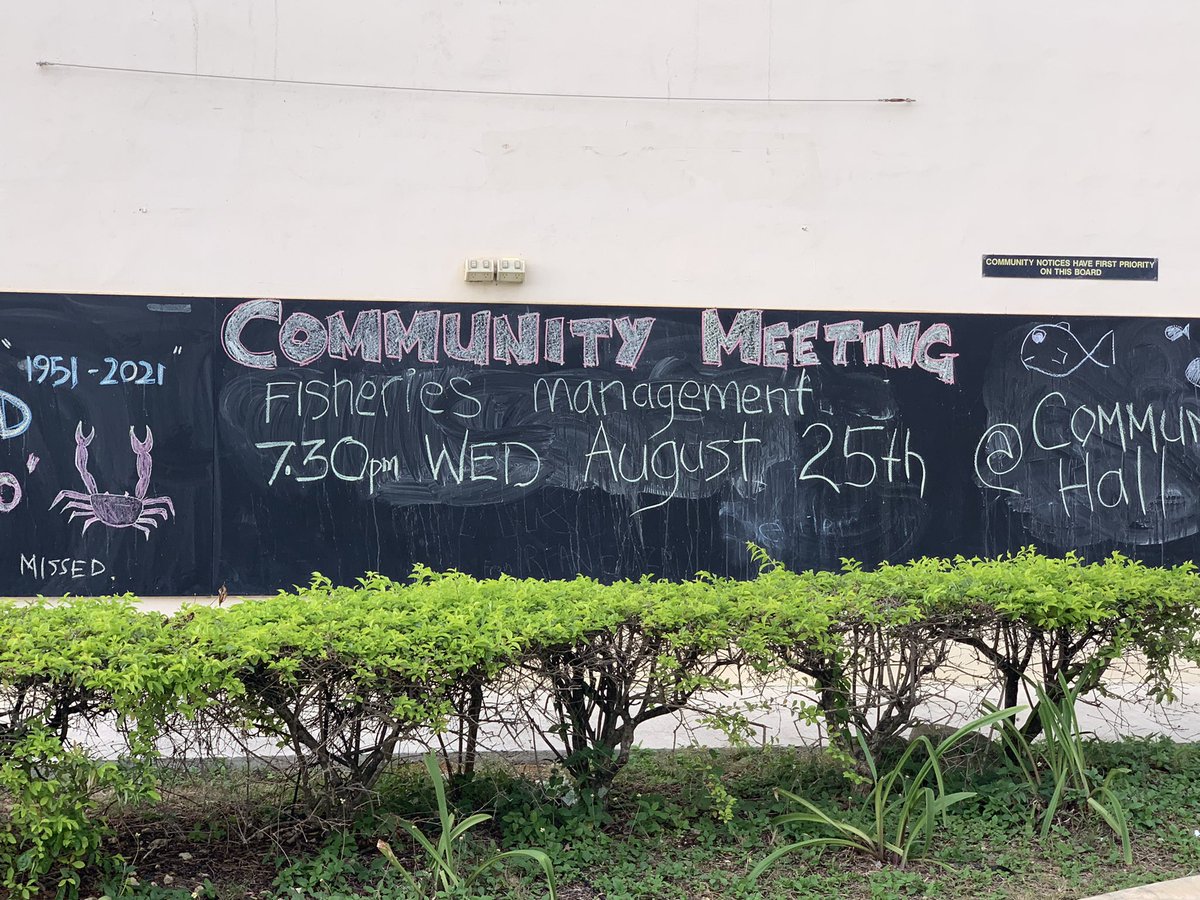 Rebecca Weeks tweet media