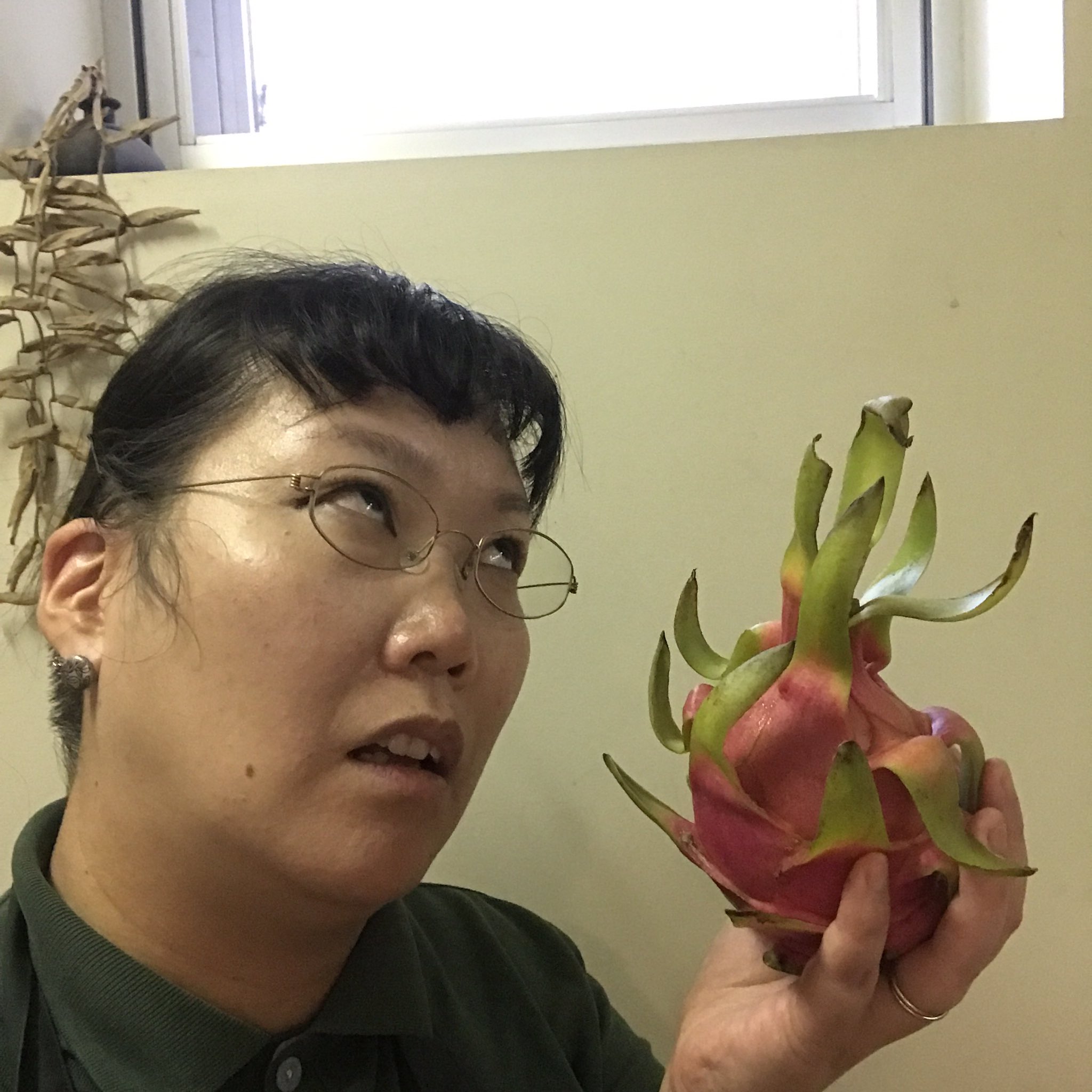 心の中の植物園 宮 おはようございます 渋谷は曇天 私は眼精疲労からの頭痛と吐き気に悩まされて悶絶の一夜を過ごしました 今日は上半身がバッキバキ さて昨日の 渋谷区ふれあい植物センター 中の人の自由研究 大人vsドラゴンフルーツの蕾 死闘編 は