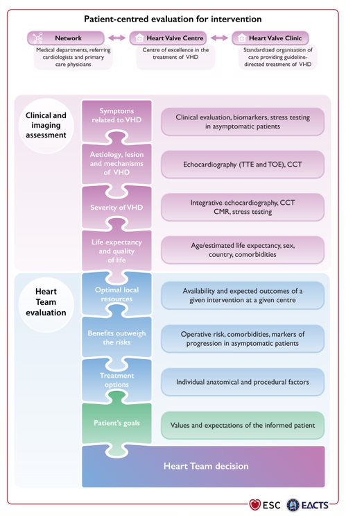 European valvular #heartdisease guidelines published today escardio.org/The-ESC/Press-… 

#ESCGuidelines #ESCCongress #VHD @EACTS